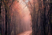 东升国际官网：一场1-0！让英超一夜生变：切尔西回前四，2豪门+3黑马争前五.