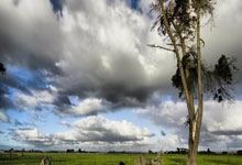 东升国际官网：[图]强势卫冕！国乒混合团体世界杯全胜战绩夺冠.