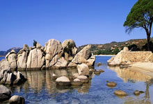 NBA-波尔津吉斯24分塔图姆20+8+8 绿军客场险胜篮网.